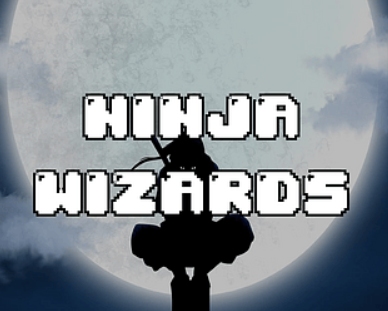 Ninja Wizards poster